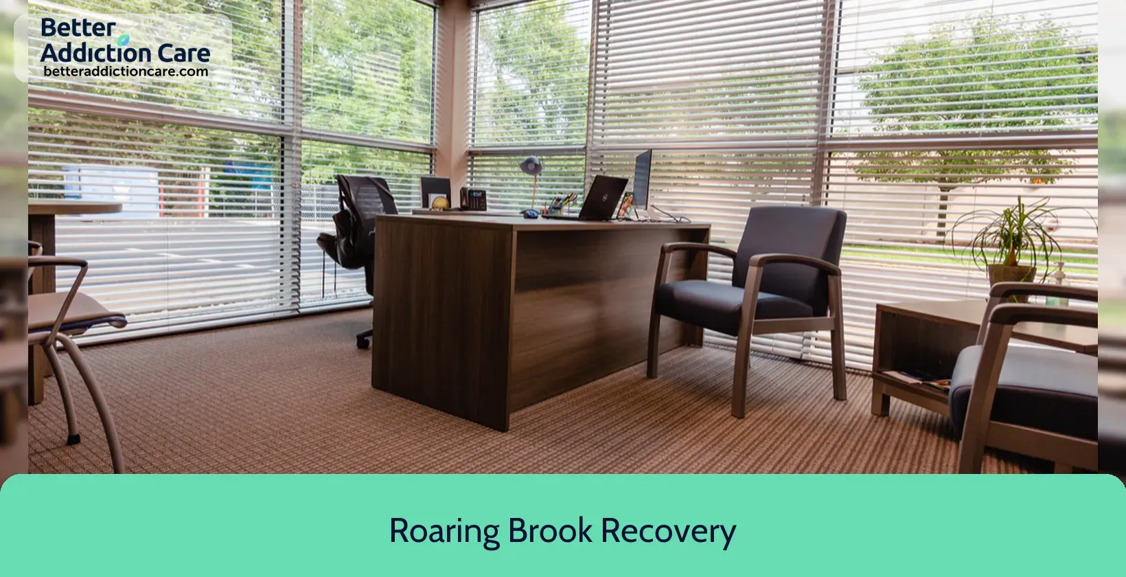 Roaring Brook Recovery 600 Perimeter Drive 1 Roaring Brook Recovery 600 Perimeter Drive 1
